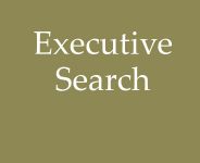 dienst-executivesearch-test(1).jpg