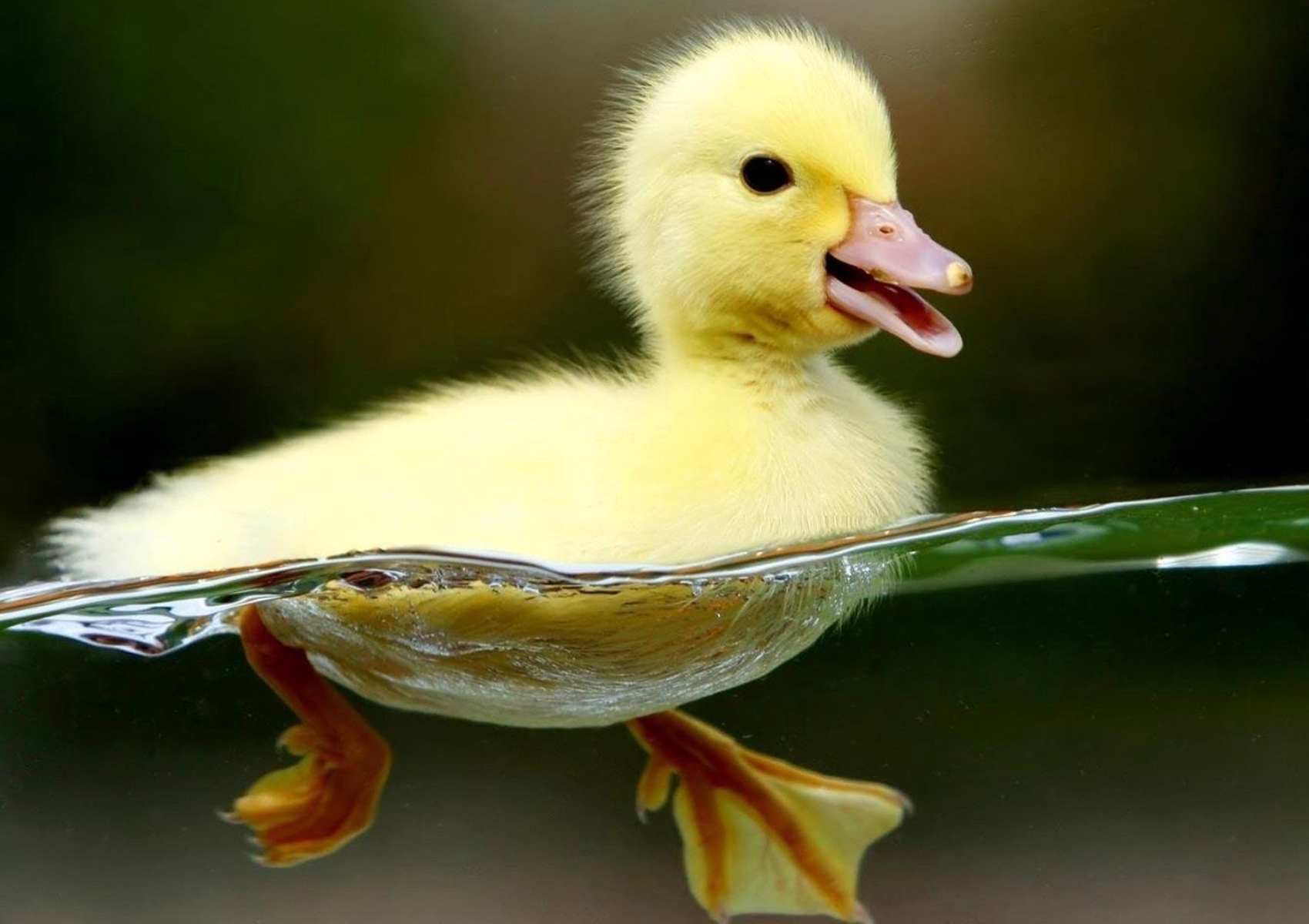 example of storytelling photoalbum