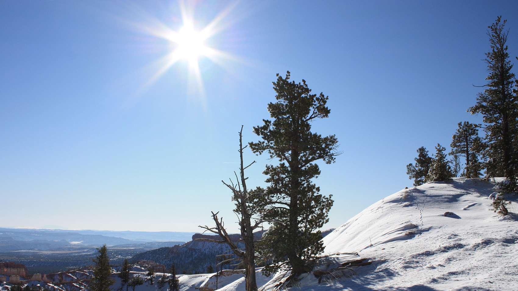 scrollende pagina - video - /media/video/skiing-scuolasci-17603.mp4